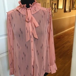 Ann Taylor Victorian blouse.